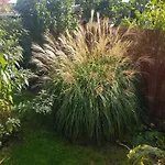 Fewo Weimar Apartamento