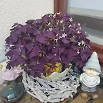 Fewo Weimar Apartamento *