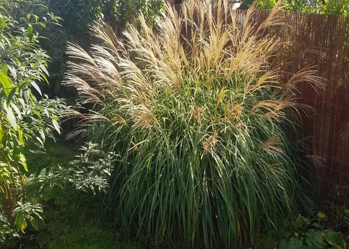 Fewo Weimar דירה